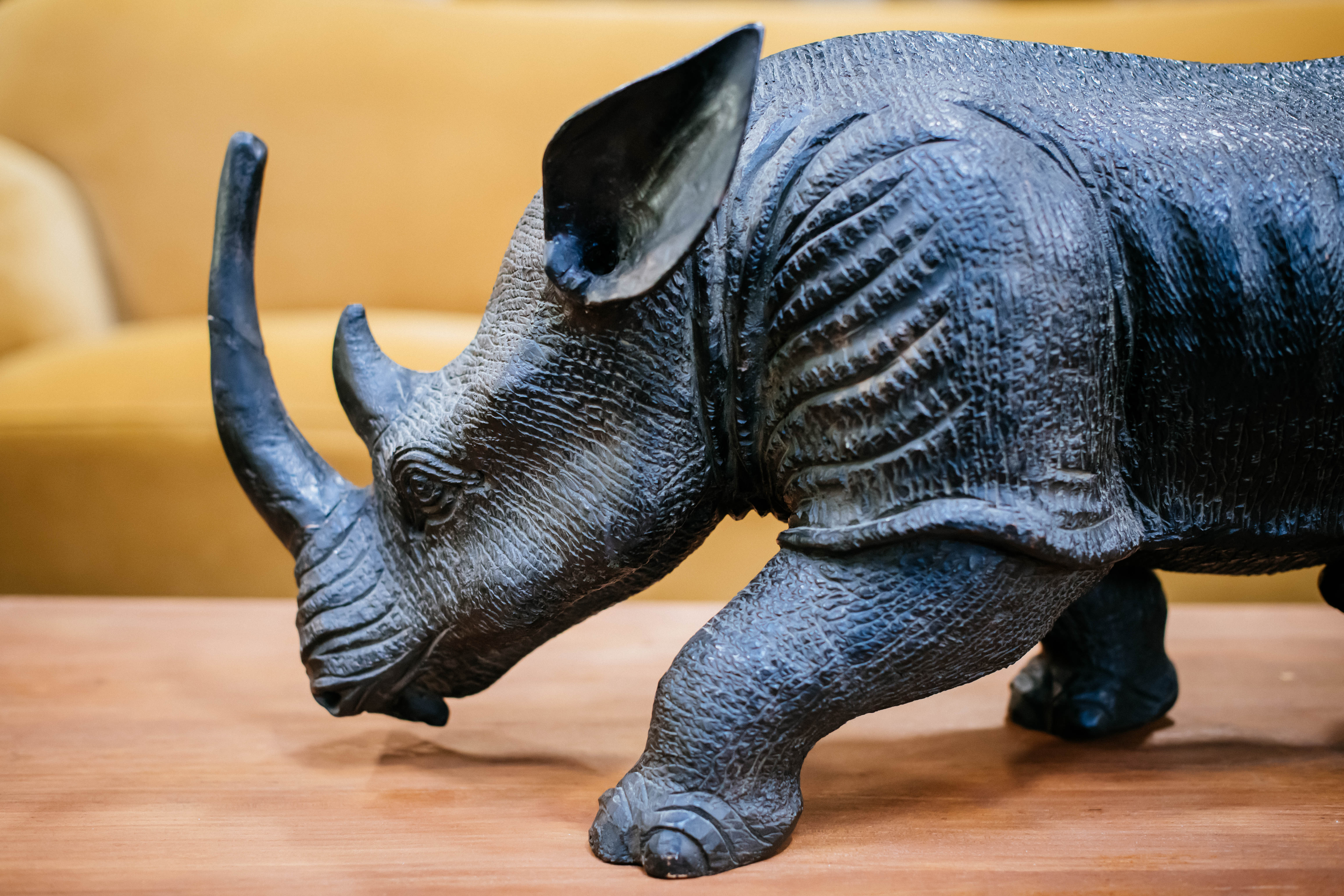 Illustration 5 du produit Rhino Collection