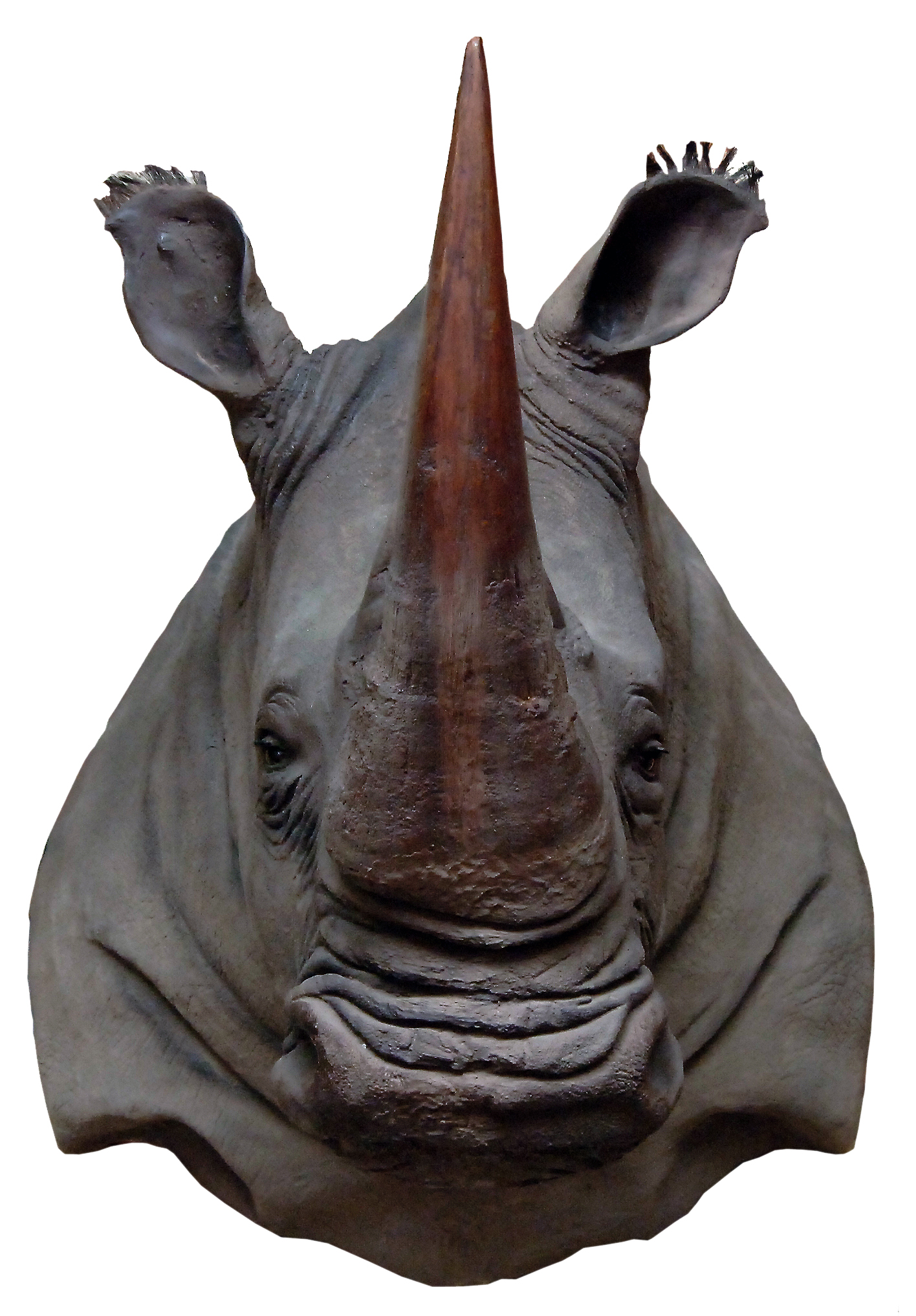 Illustration 2 du produit Rhino Head